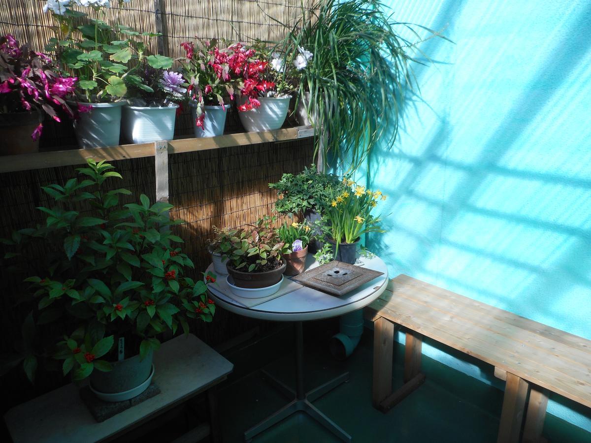 Jgh Tokyo Hostel Kawaguchi  Exterior foto